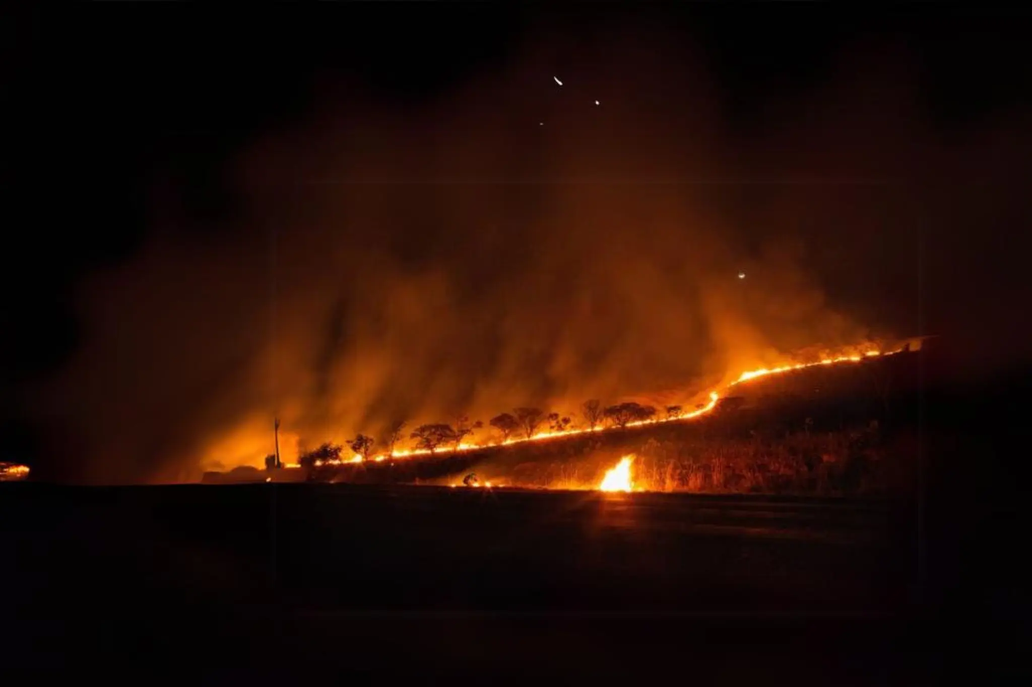 Pantanal em chamas: MS decreta emergência após explosão de queimadas