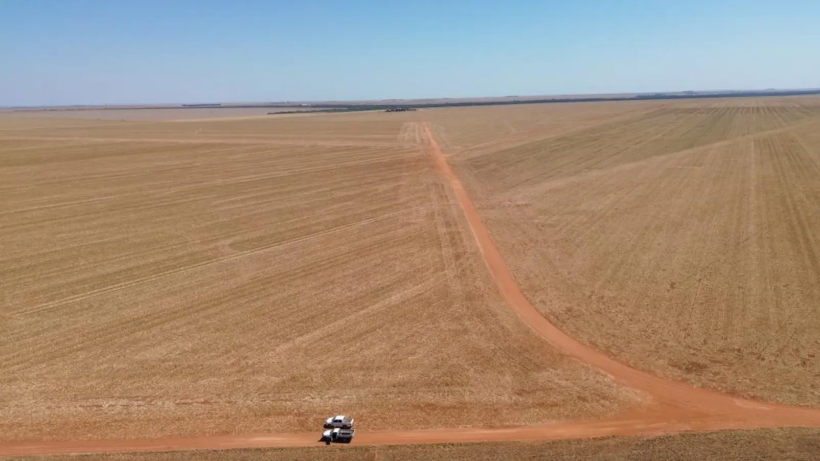 Leilão de fazenda milionária em Diamantino: cadastro encerra nesta quarta