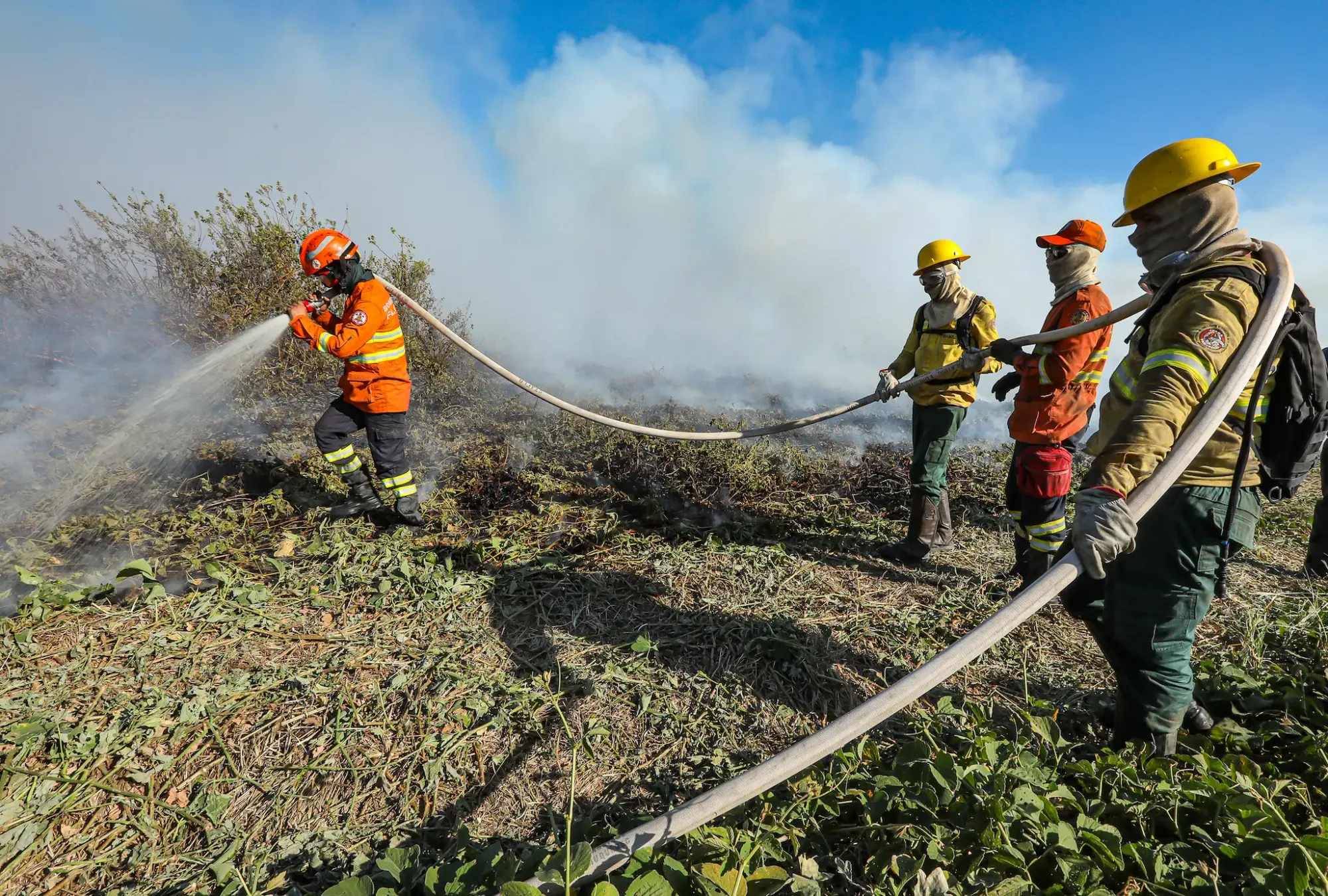 Bombeiros travam batalha contra 22 focos de incêndio em Mato Grosso