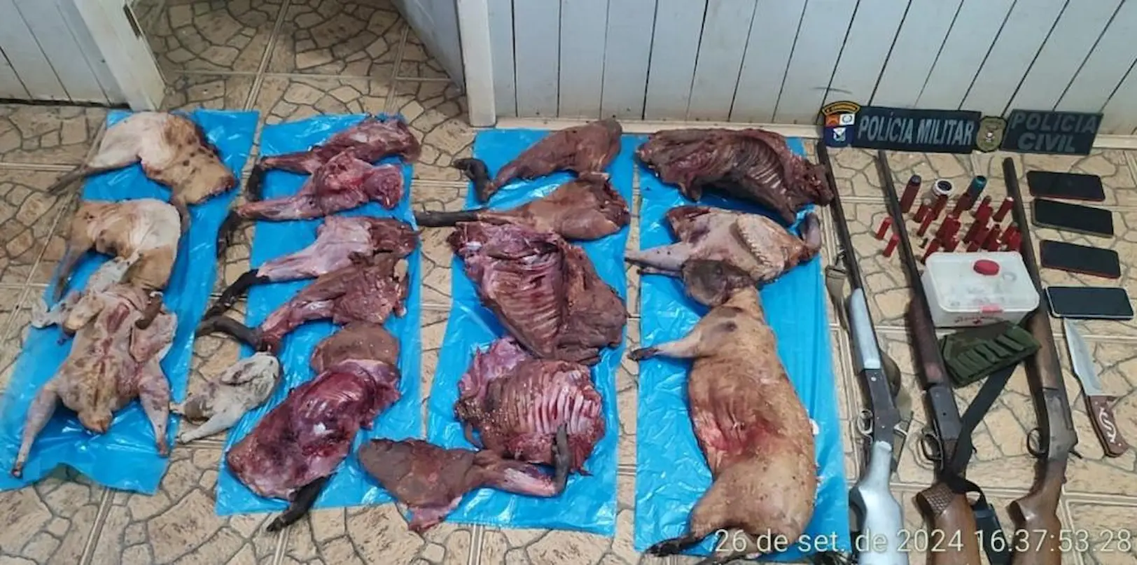 Polícia prende três suspeitos de caça e comércio de carne de animais silvestres