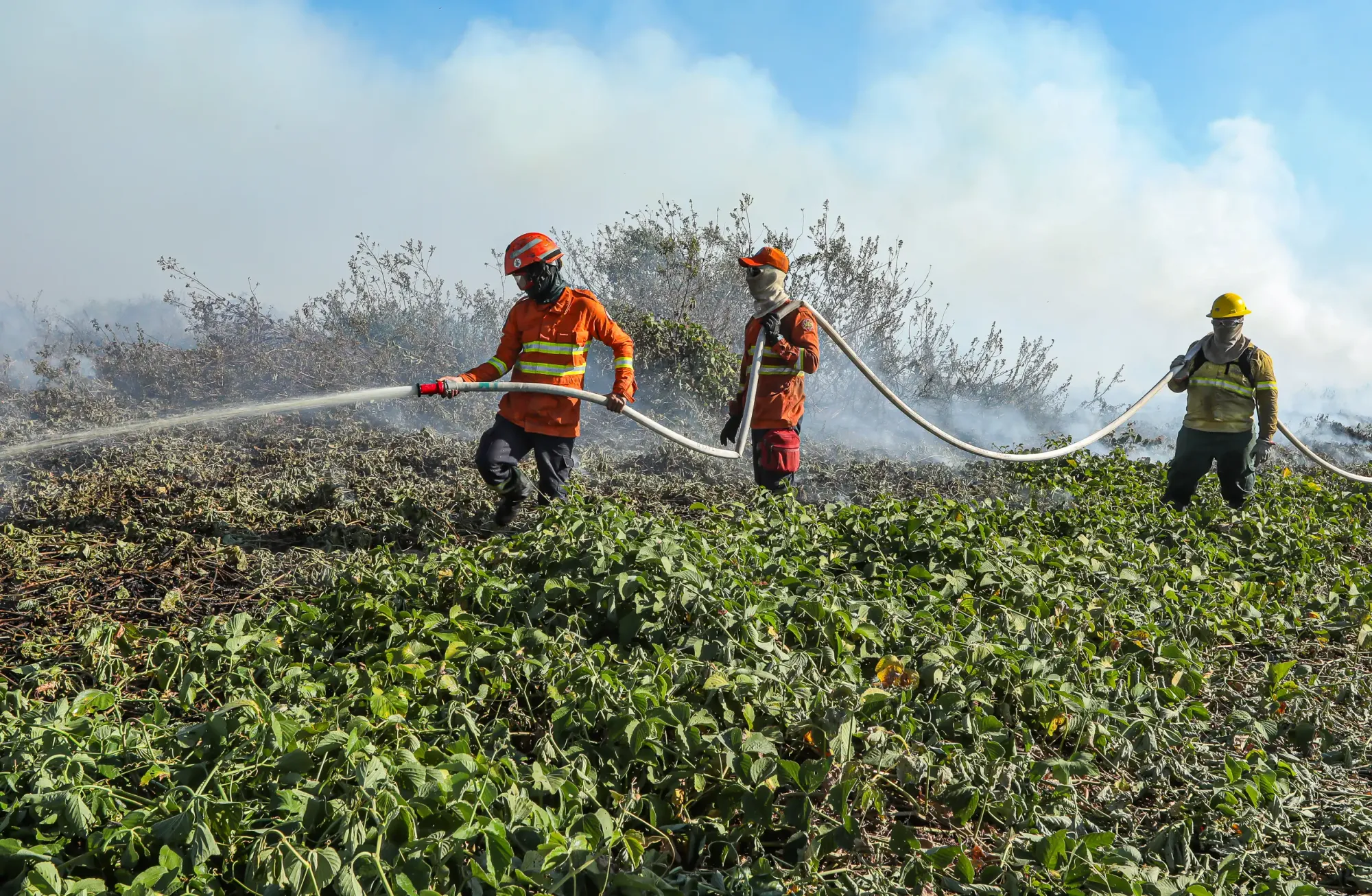 Corpo de Bombeiros combate incêndios florestais em todo estado de Mato Grosso