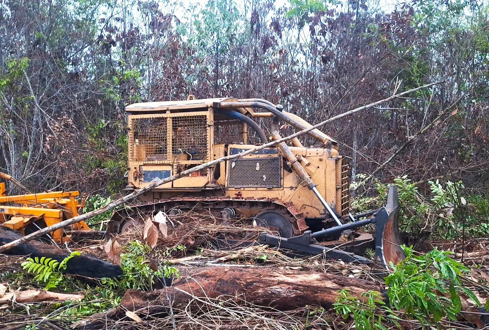 Sema apreende maquinários por desmate ilegal em Marcelândia; multa é alta