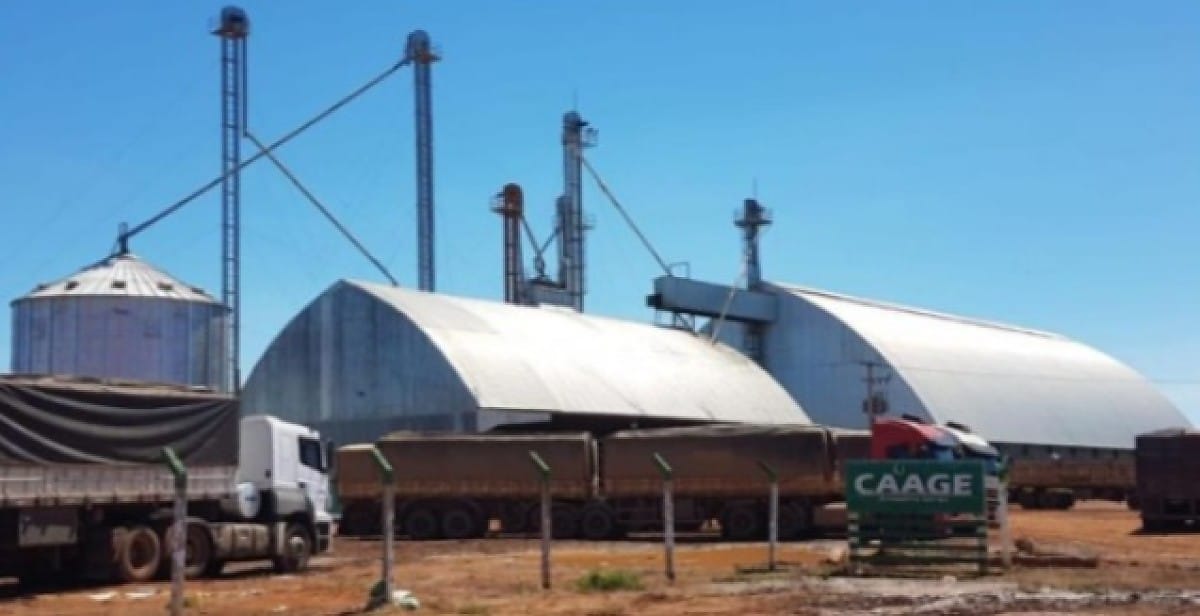 O Rastro do Grão: Suspeitas, Dívidas e a Polêmica Reestruturação do Grupo Caage