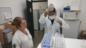 Pesquisadores de MT revelam novo fungo causador da Paracoccidioidomicose